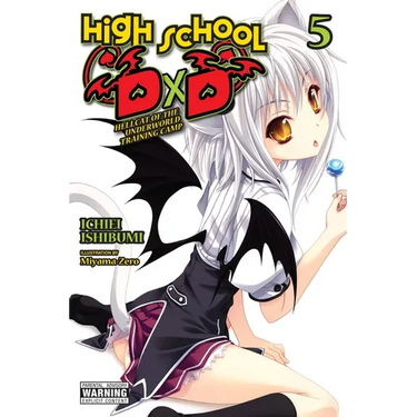 High School DXD, Vol. 5 (Light Novel): Hellcat of the Underworld Training Camp Volume 5