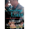Trusting Liam: A Taking Chances and Forgiving Lies Novel