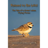 Raised to Be Wild: The Tale of a Great Lakes Piping Plover