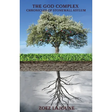 The God Complex: Chronicles of the Stonewall Asylum
