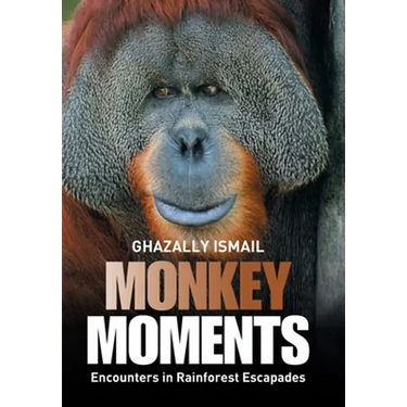 Monkey Moments: Encounters in Rainforest Escapades