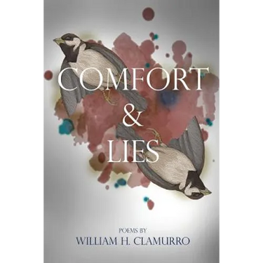 Comfort & Lies