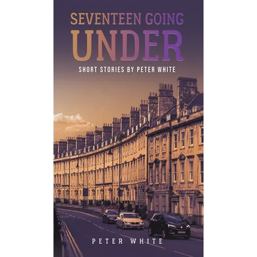 Seventeen Going Under