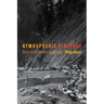 Atmospheric Violence: Disaster and Repair in Kashmir