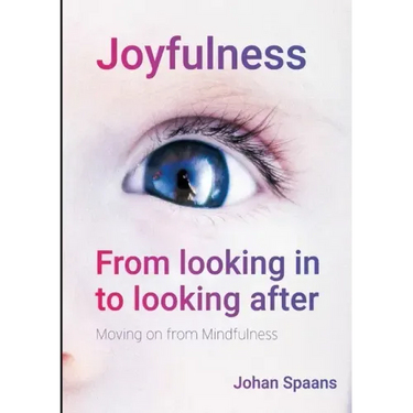 Joyfulness. From looking in to looking after: Moving on from Mindfulness