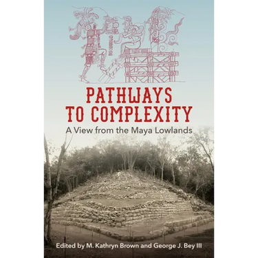 Pathways to Complexity: A View from the Maya Lowlands
