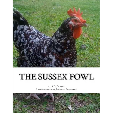 The Sussex Fowl: The History and Breeding of Sussex Chickens