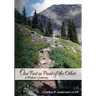 One Foot in Front of the Other: A Widow's Journey