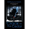 Crack in the Cedar