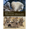 Greater Yellowstone's Mountain Ungulates: A Contrast in Management Histories and Challenges: A