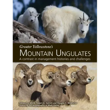 Greater Yellowstone's Mountain Ungulates: A Contrast in Management Histories and Challenges: A