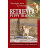 Retriever Puppy Training: The Right Start for Hunting