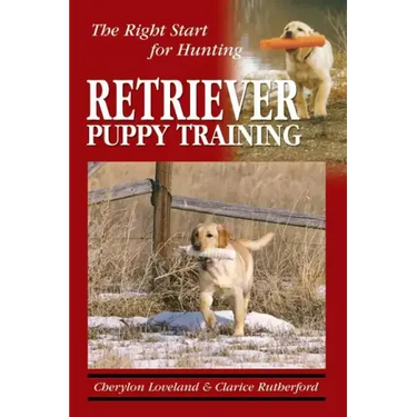 Retriever Puppy Training: The Right Start for Hunting