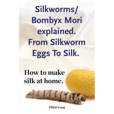 Silkworms Bombyx Mori explained. From Silkworm Eggs To Silk. How to make silk at home.