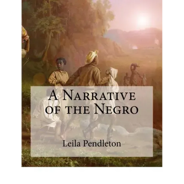 A Narrative of the Negro: (Large Print Edition)
