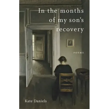 In the Months of My Son's Recovery: Poems