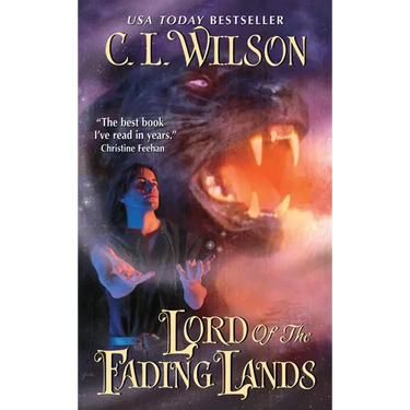 Lord of the Fading Lands