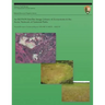 An IKONOS Satellite Image Library of Ecosystems in the Arctic Network of National Parks