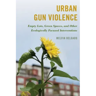 Urban Gun Violence: Empty Lots, Green Spaces, and Other Ecologically Focused Interventions