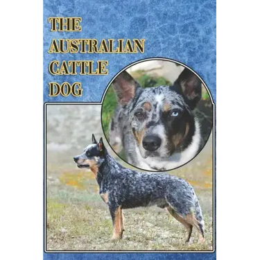 The Australian Cattle Dog: A Complete and Comprehensive Beginners Guide To: Buying, Owning, Health, Grooming, Training, Obedience, Understanding