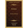 Richelieu: His Rise to Power