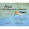 Ava: A Year of Adventure in the Life of an American Avocet