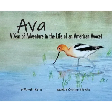Ava: A Year of Adventure in the Life of an American Avocet