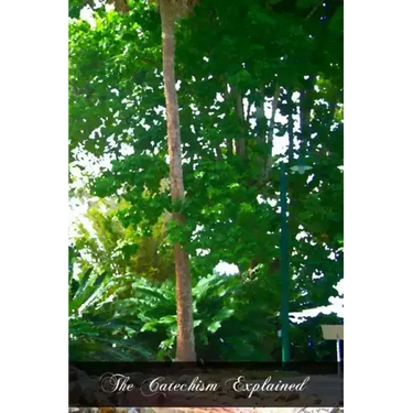 The Catechism Explained: An Exhaustive Exposition Of The Christian Religion