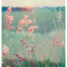 Condolence book for funeral (Hardcover): Memory book, comments book, condolence book for funeral, remembrance, celebration of life, in loving memory f