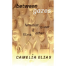 Between Gazes: Feminist, Queer, and Other Films