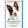 Animal Reincarnation: Everything You Always Wanted to Know! about Pet Reincarnation plus "how to" techniques to see, feel & communicate with