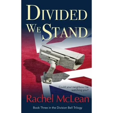 Divided We Stand: Could your neighbour be watching you?