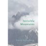 Invisible Mountains