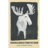 Digging A Moose from the Snow