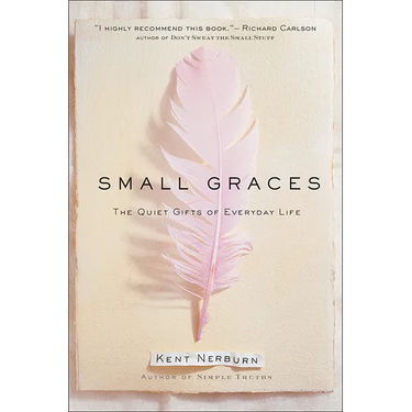 Small Graces: A Celebration of the Ordinary: Sacred Moments That Illuminate Our Lives