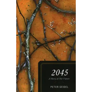 2045: A Story of Our Future