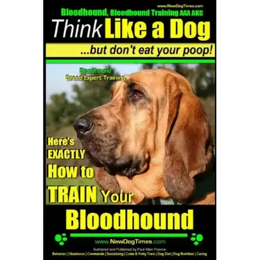 Bloodhound, Bloodhound Training AAA AKC: Think Like a Dog, but Don't Eat Your Poop! Bloodhound Breed Expert Training: Here's EXACTLY How to Train Your