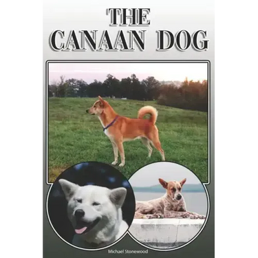 The Canaan Dog: A Complete and Comprehensive Owners Guide To: Buying, Owning, Health, Grooming, Training, Obedience, Understanding and