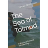 The Sea of Talmud: A Brief and Personal Introduction