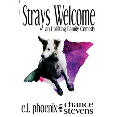 Strays Welcome