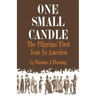 One Small Candle: The Pilgrims' First Year in America