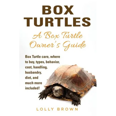 Box Turtles: Box Turtle care, where to buy, types, behavior, cost, handling, husbandry, diet, and much more included! A Box Turtle Owner's Guide