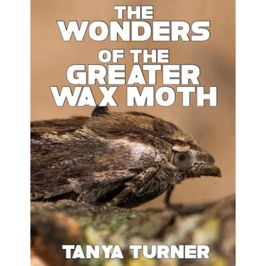 The Greater Wax Moth: Do Your Kids Know This? A Children's Picture Book