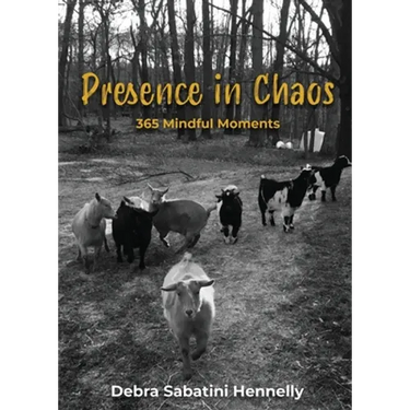 Presence in Chaos: 365 Mindful Moments