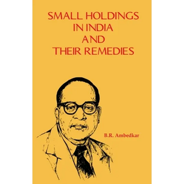 Small Holdings in India and their Remedies