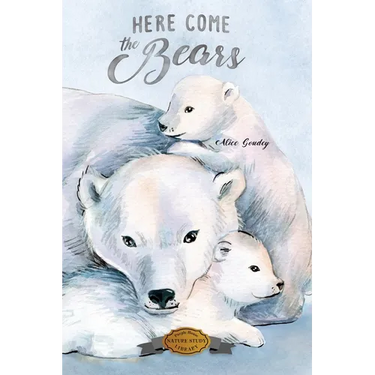 Here Come the Bears