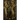 Nostoc