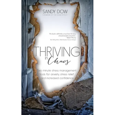 Thriving in Chaos: Two Minute Stress Management Tools for Anxiety, Stress Relief and Increased Confidence