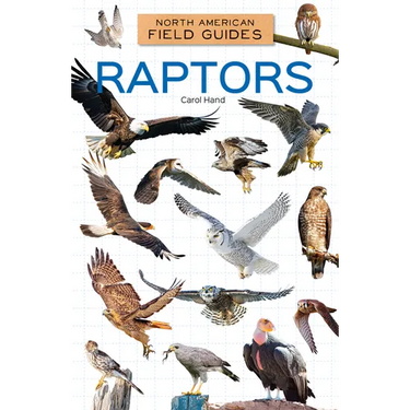 Raptors