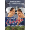 An Amish Christmas at the Apple Blossom Inn